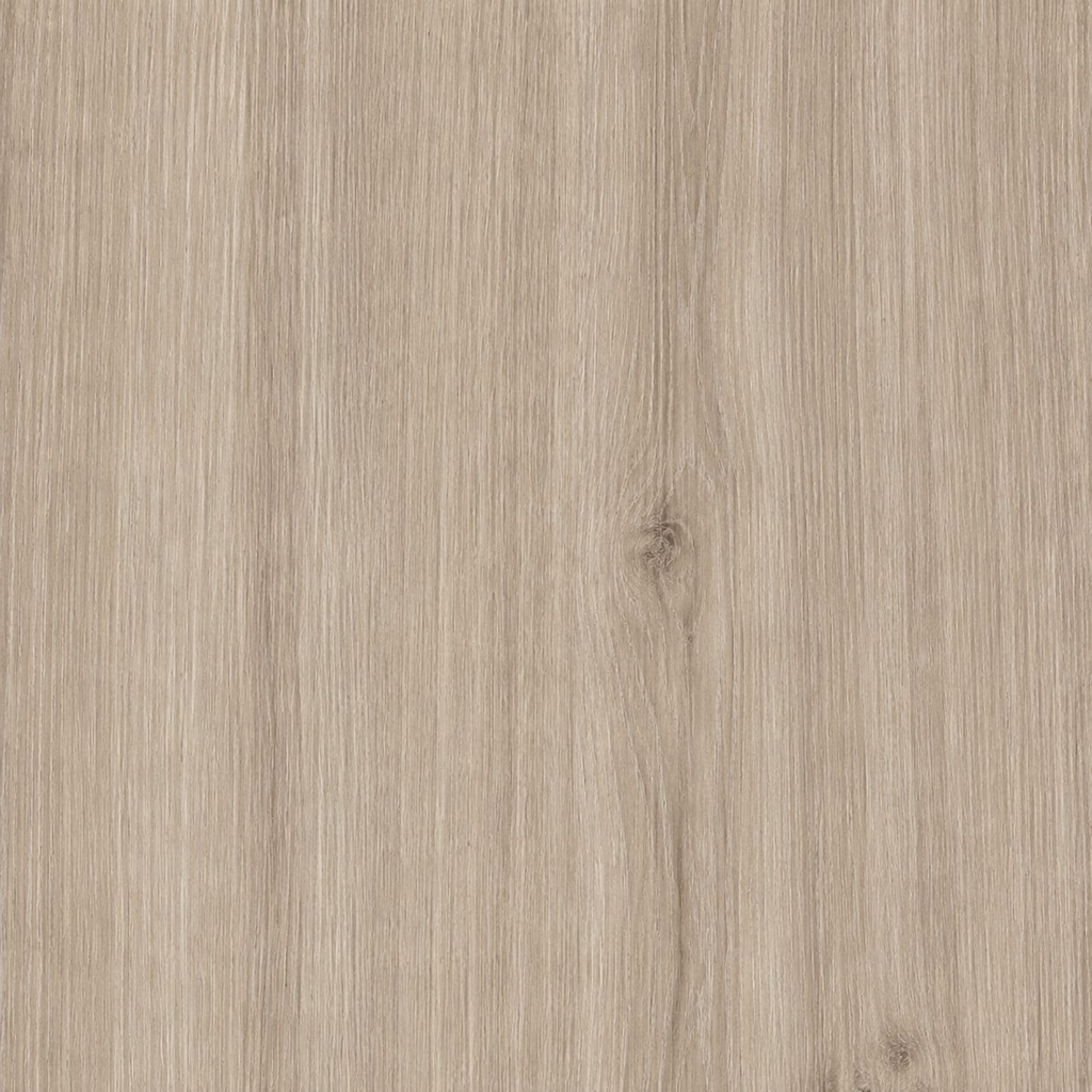 Summer Oak — image 4