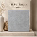 Shiba Marrone — image 3