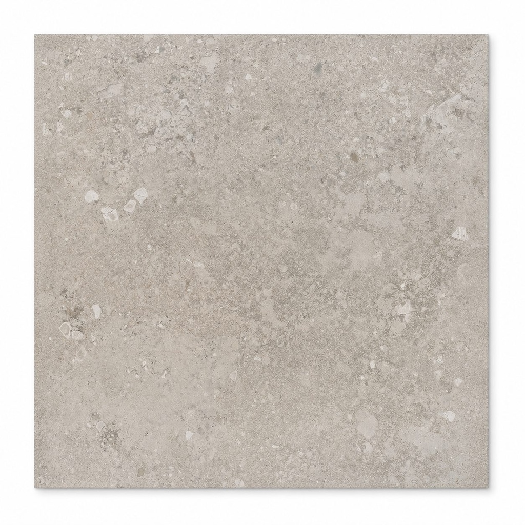 Freedust Taupe (60 × 60 cm)