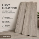 Lucky elegant 2218